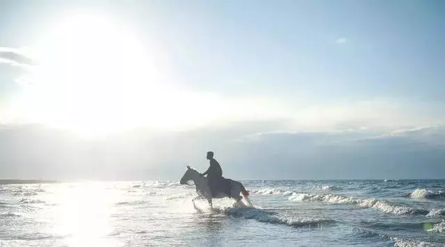 有一种多情，叫做青海湖