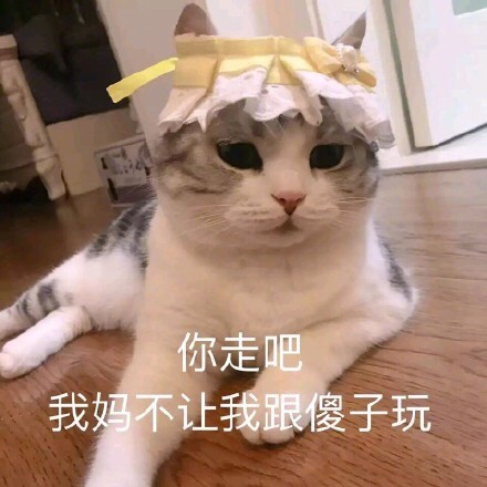 猫咪表情包：这恶心的恋爱味道、