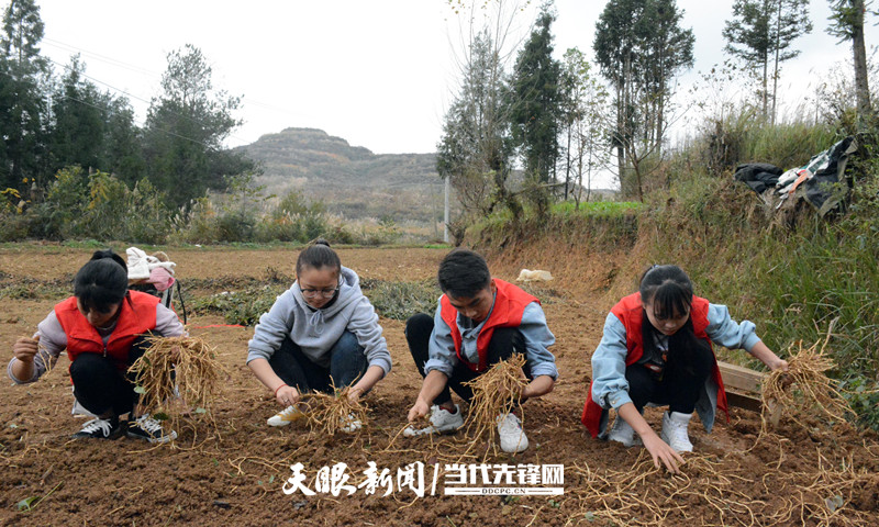 聚力乡村振兴！贵州城市职业学院组织48名青年大学生开展“校帮村”帮扶活动