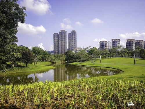 繁华鹏城，国际花园——深圳