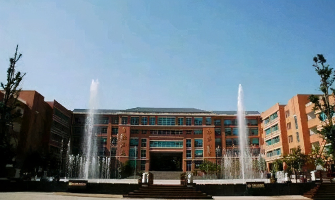 贵州状元林中文，全班倒数第二，却以704分上清华，怎么做到的？