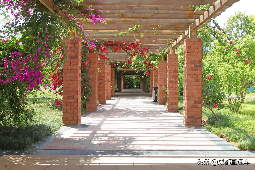 花开的季节·一起爱上文理