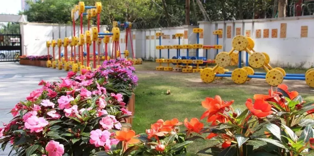 2019最新！深圳热门国际幼儿园大盘点！学费从几千到上万不等