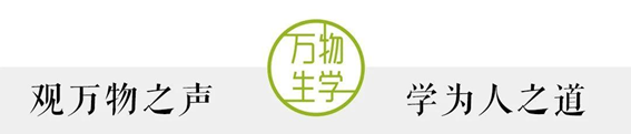 如何设计一份完美的工作汇报PPT(如何进行设计方案的汇报工作)