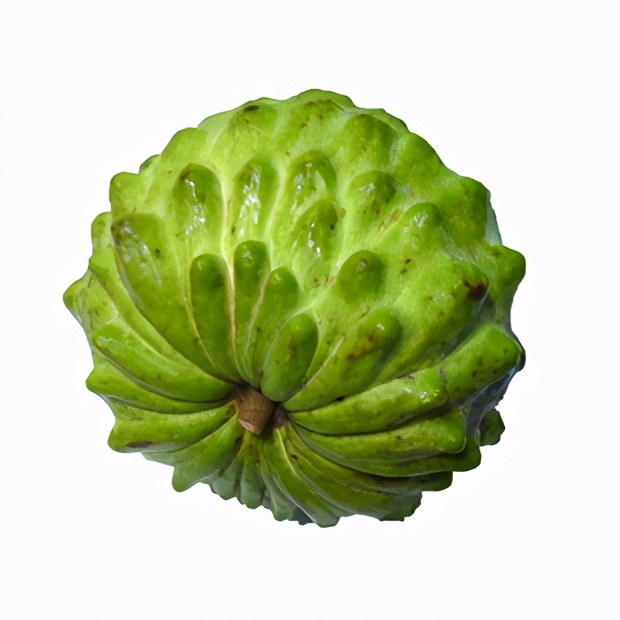 这种水果像佛头，你吃过吗？