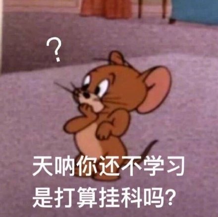 考试表情包合集｜请保佑我的考试吧