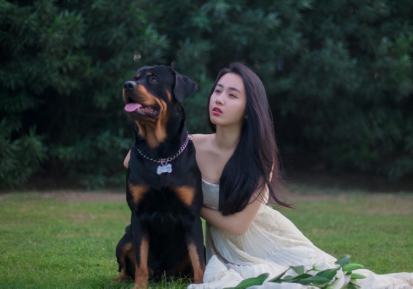 这10种狗，公认最忠心，养过的都知道