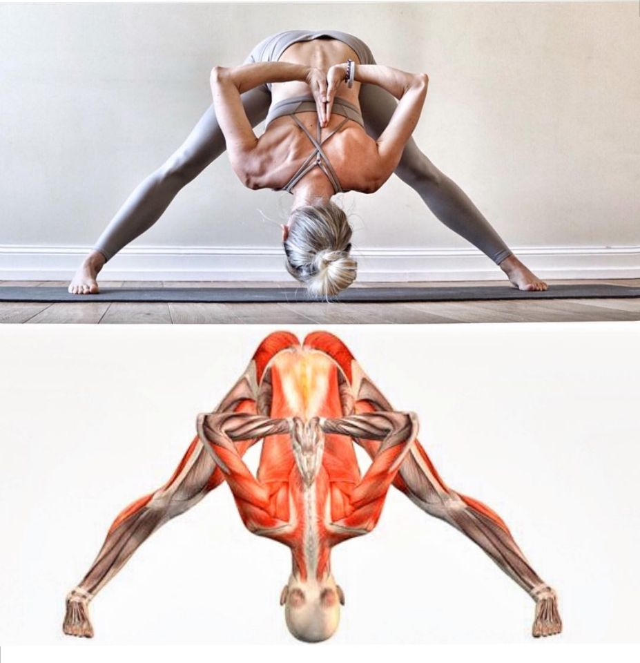 想要避免瑜伽伤害,正确练习很重要(附26个体式细节图)