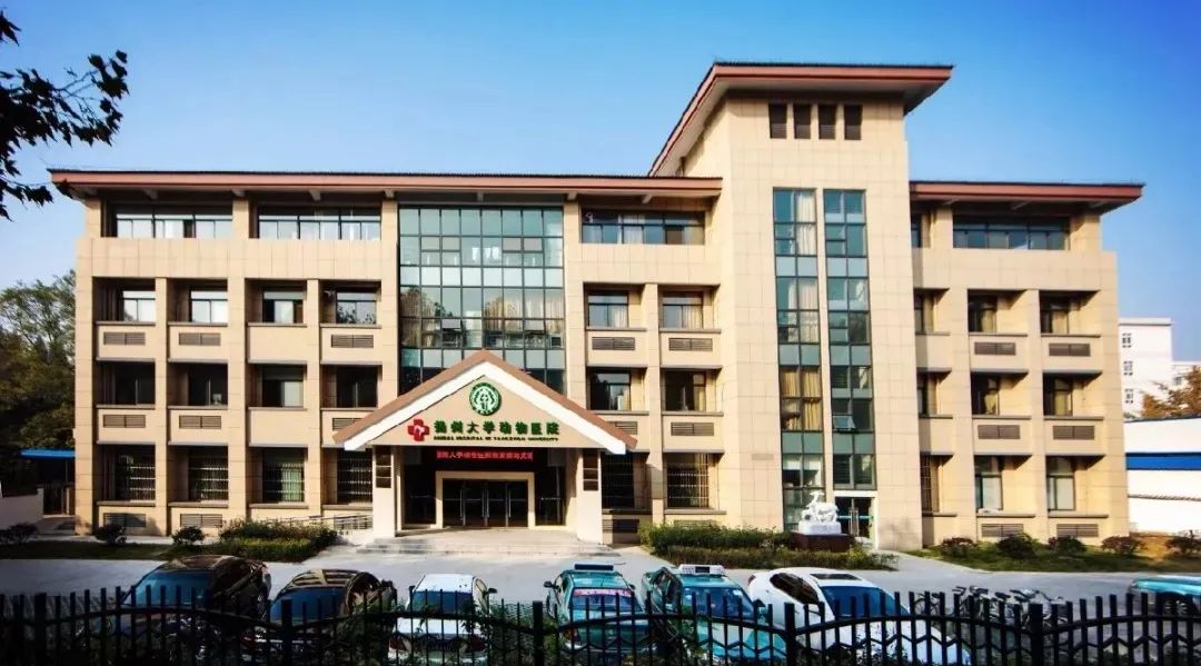 报了！扬州大学