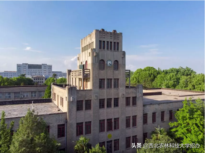 曝光！这，就是西北农林科技大学的7宗