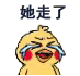 小黄鸡哭唧唧表情包合集没钱了，完蛋了