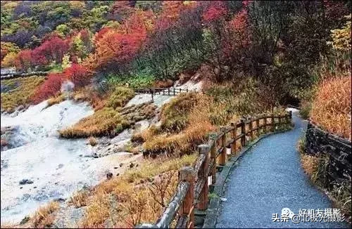 构图取景的10大禁忌