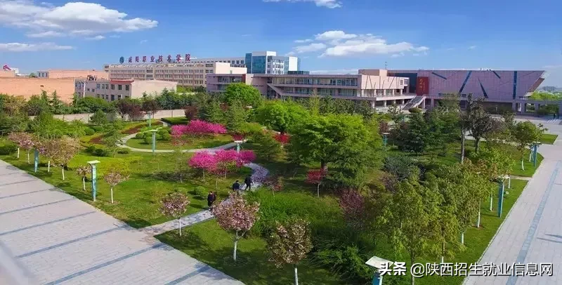 阳光正好丨多维度、高清图，带你一起了解咸阳职业技术学院