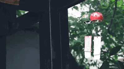 草木人间，且问君安