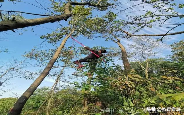 系部特色 | 生态工程系——广东生态工程职业学院