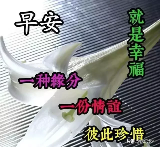 遇见，只是一个开始；珍惜，才能相伴一生，早安