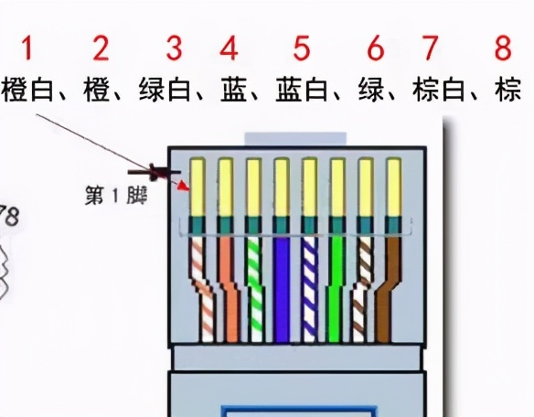 万字45张图详解计算机网络基础知识