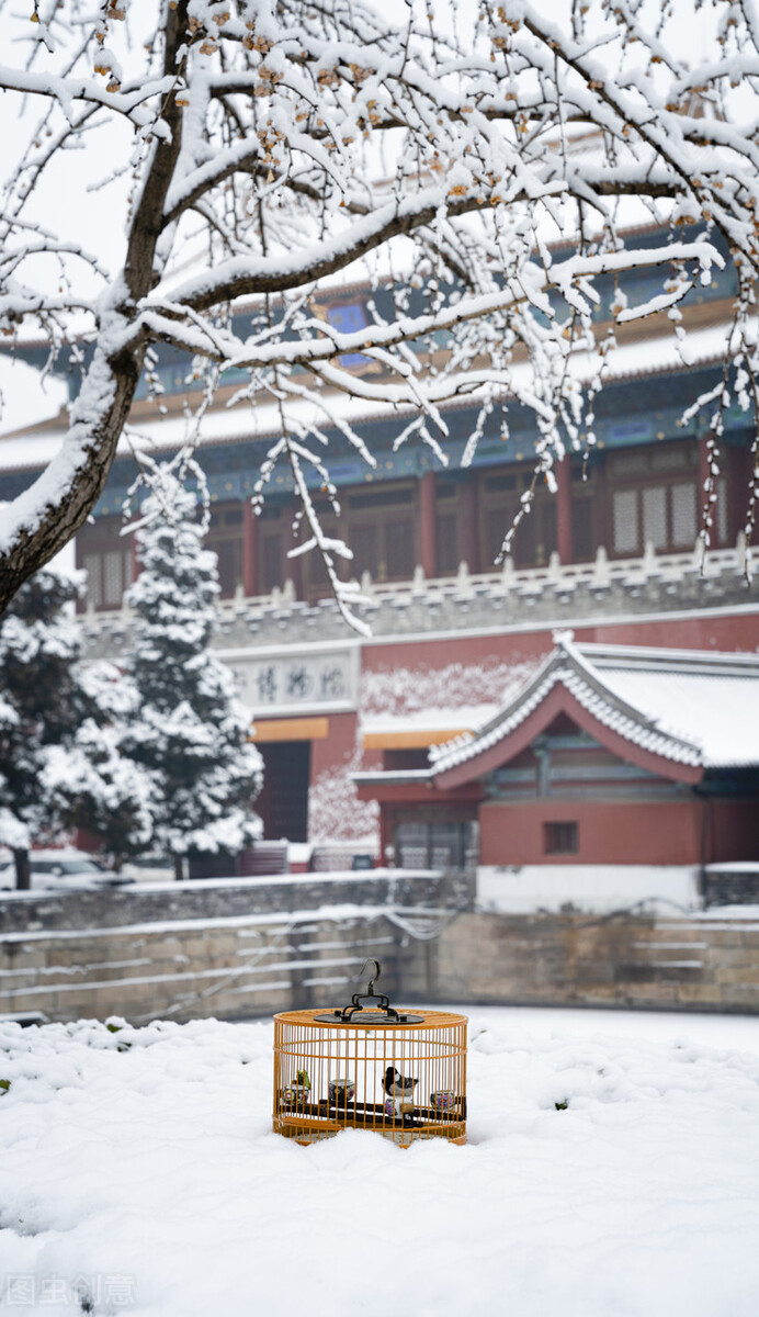 一下雪，中国就穿越了几千年，惊艳了全世界