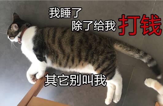 问妈妈要零花钱系列猫咪表情包