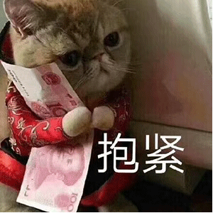 表情包：抱着所剩无几的财产，陷入人生的思考