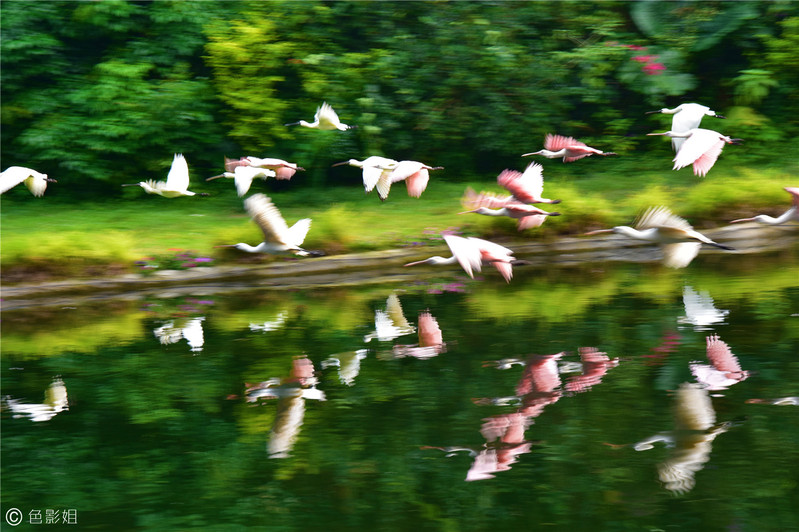 三天三夜欢乐长隆之旅（附攻略）