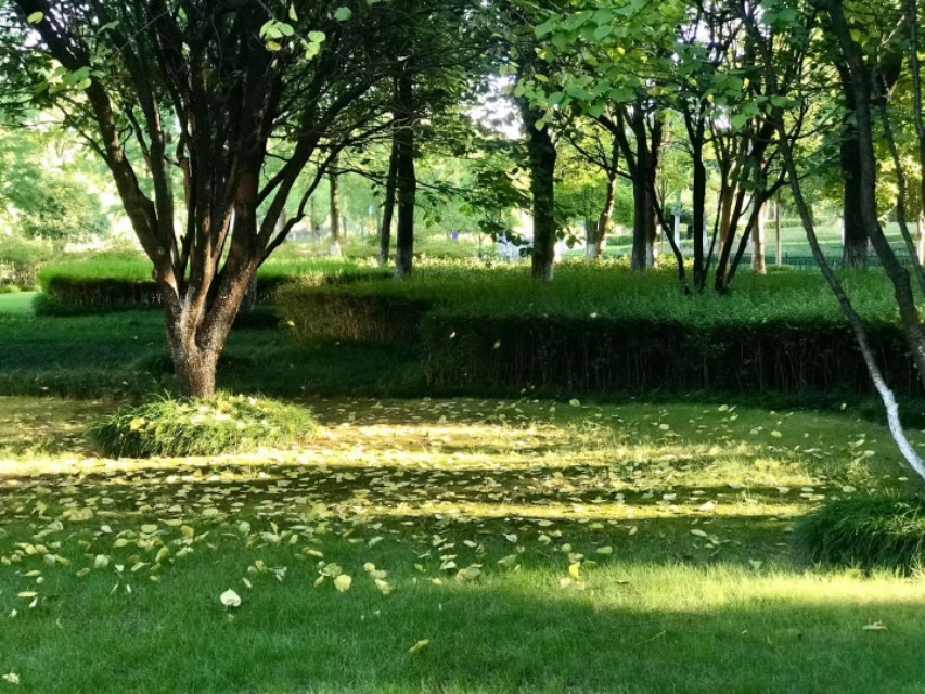 八年级上册【09《三峡》】课文注释+批注