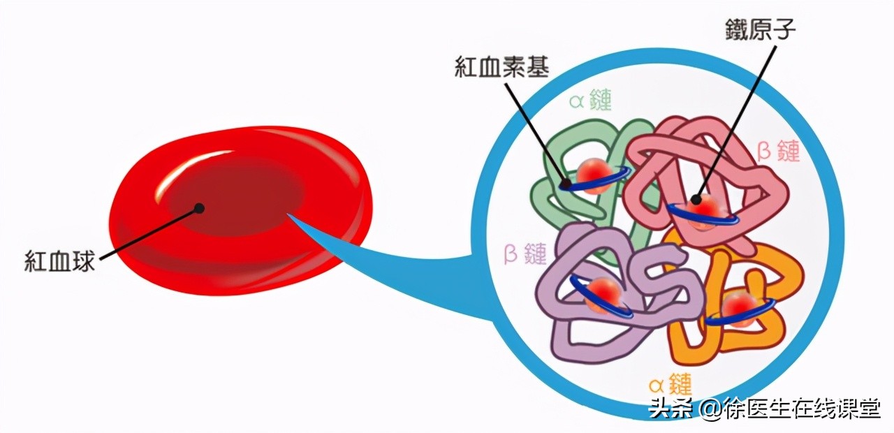 地中海贫血是什么 地中海贫血症状有哪些