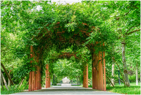 为什么选择中国石油大学（华东）？这10大理由足够吸引你！