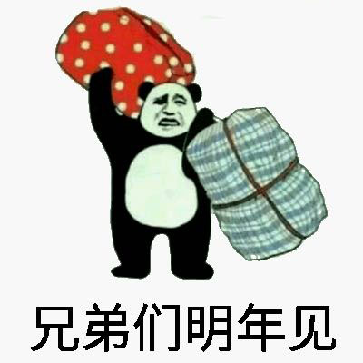 大包小包回家过年的表情包