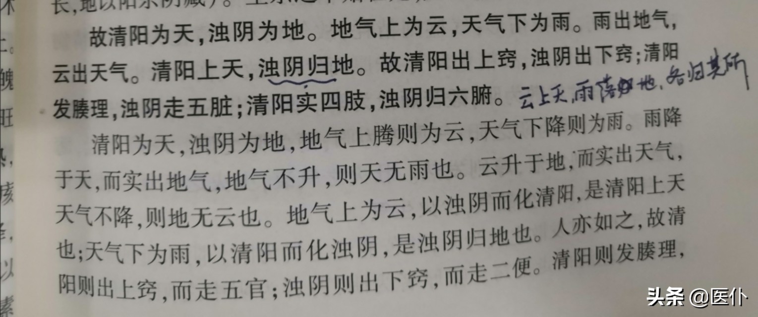 中医这些优美的句子，令人震撼