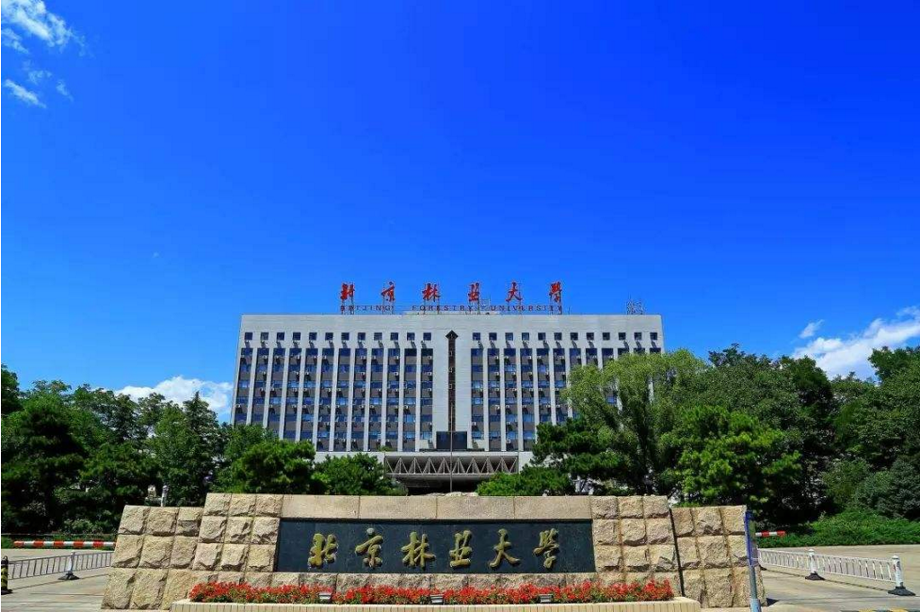 北京几所“很谦卑”大学，实力强分数线不高，学子心中理想院校