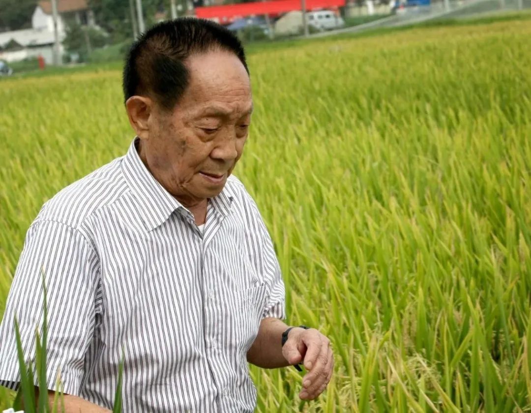 “珍惜粮食，好好吃饭，我先走了”