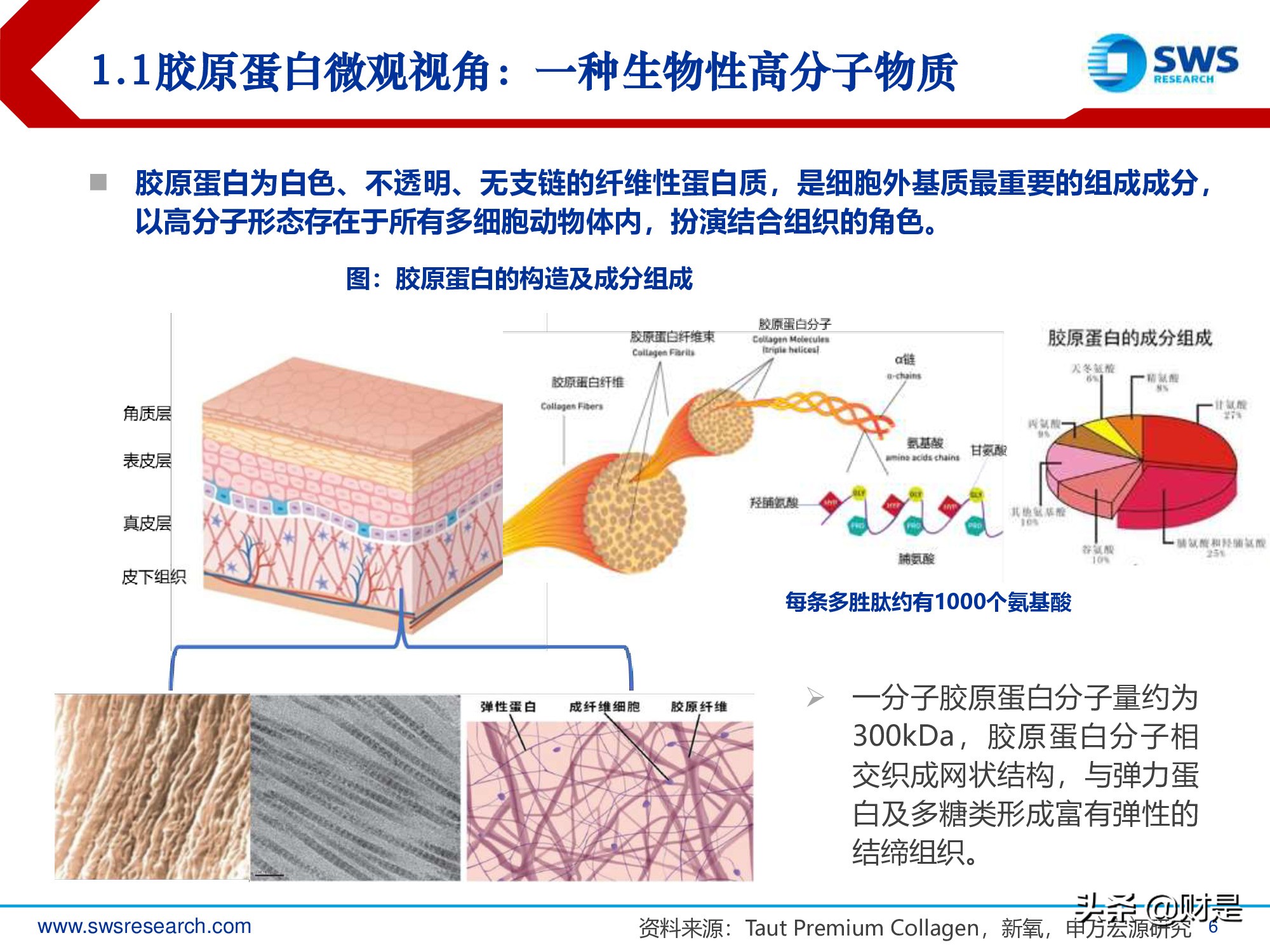 胶原蛋白行业深度研究报告：生物医药材料下一个风口