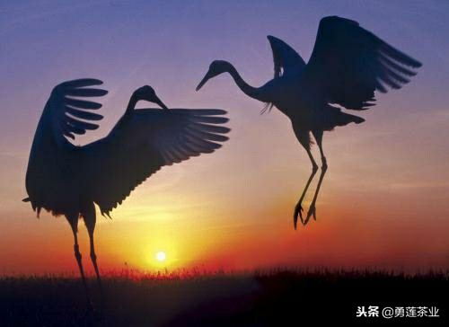 日落西山人未老，抓紧时间到处跑，夕阳不会无限好。