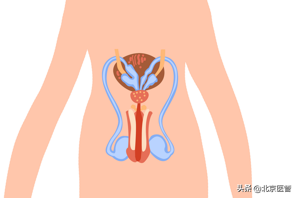 前列腺增生会发展成前列腺癌吗？这些知识需知晓！