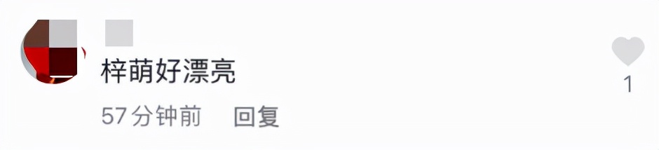 央视天团聚会！李梓萌穿露肩装颜值出众，仨新晋美女主持同框比美