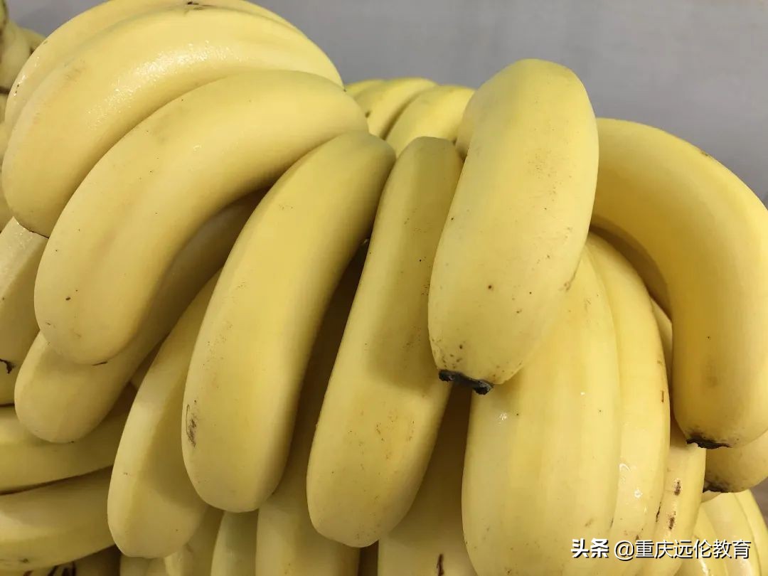 美术高考培训学校线上参观指南！足不出户，“云”游远伦教育！