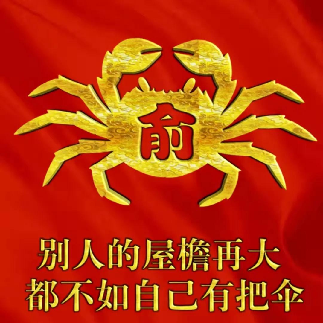 独一无二与众不同头像（20张不同款式的微信头像）