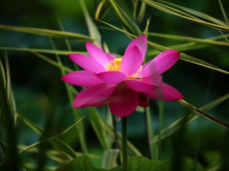 坐拥“专属地铁”，有7大美食集结地！东北这所大学“顶尖”配置太绝！