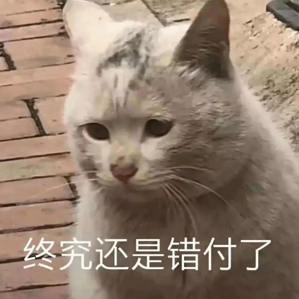 表情包：谁的帽子掉了