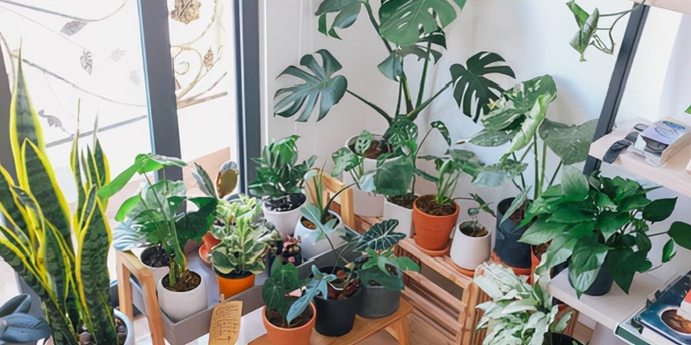 2021年大学生就业报告：计算机最热！今年考生最爱报考这些专业