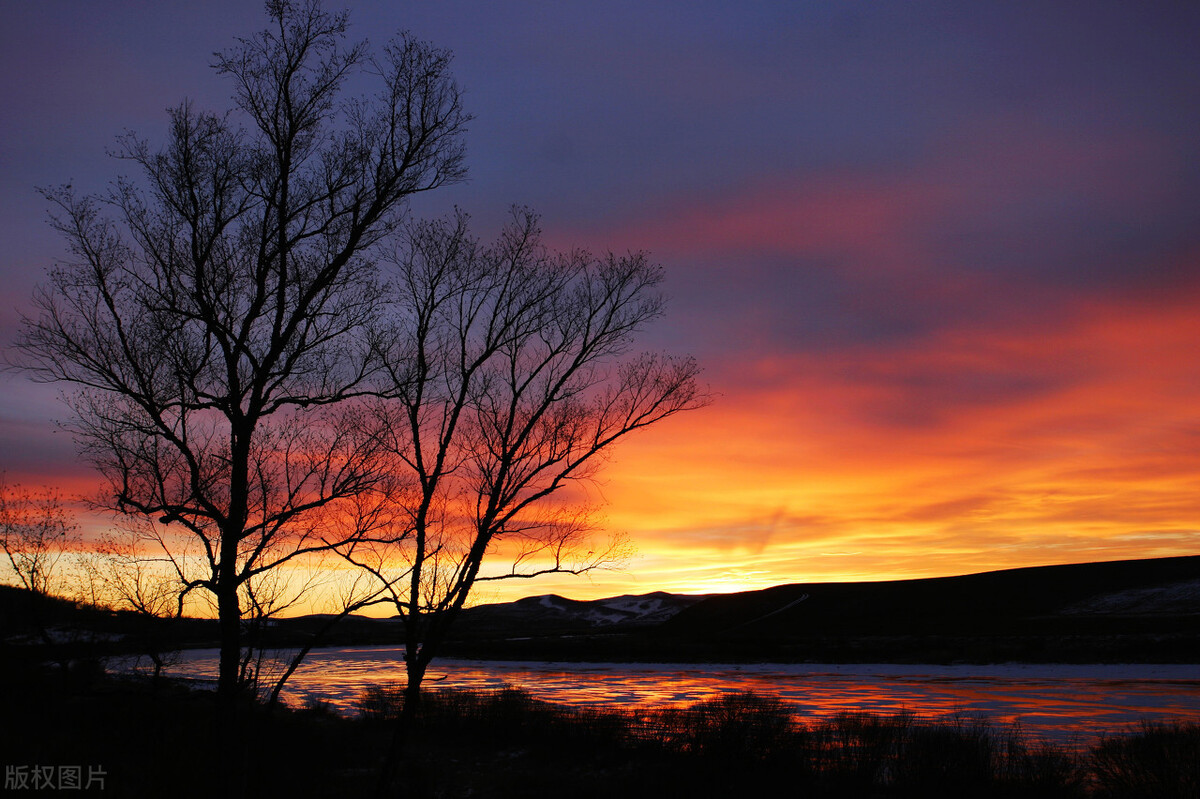 山雨欲来风满楼新浪(明月松间照清泉石上流)