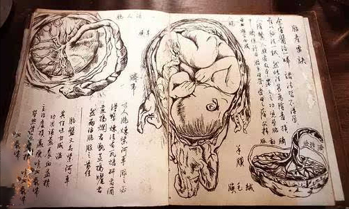 胎盘到底怎么吃,它都有哪些"好处"?