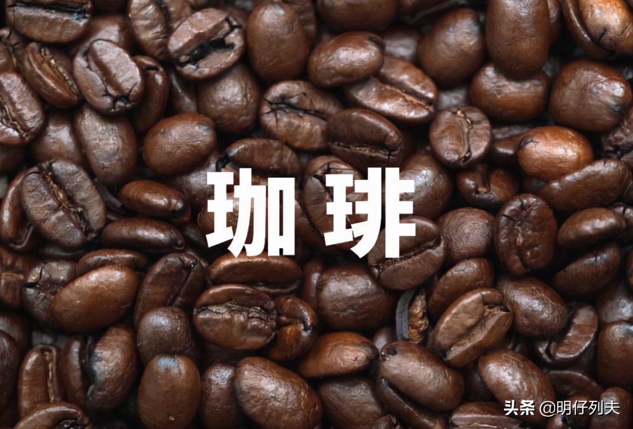 咖啡的全球之旅，关于咖啡，你所不知道的一些事