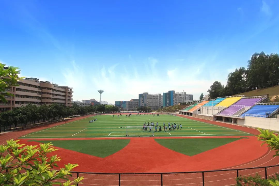 岭南职院：岭南之花别样红