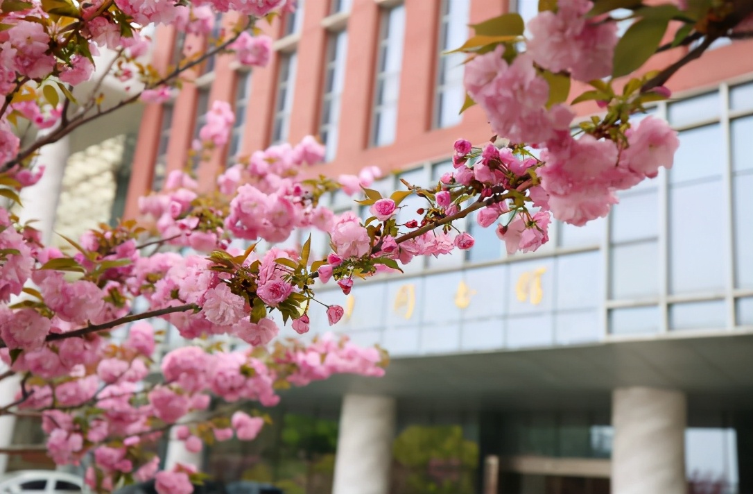 湖北军人学霸：服役特种兵，多次受上级表扬，退役后考上985名校