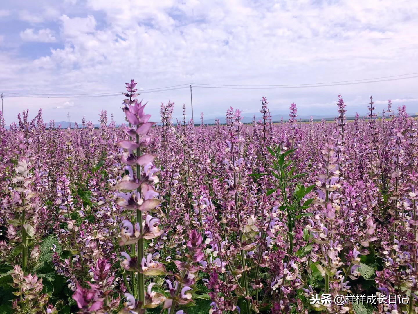 一家三口自驾去新疆，环南北疆27天15000公里，吃住行玩详细攻略