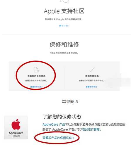 iPhone 11怎么查询激活时间？苹果手机激活时间的查询方法