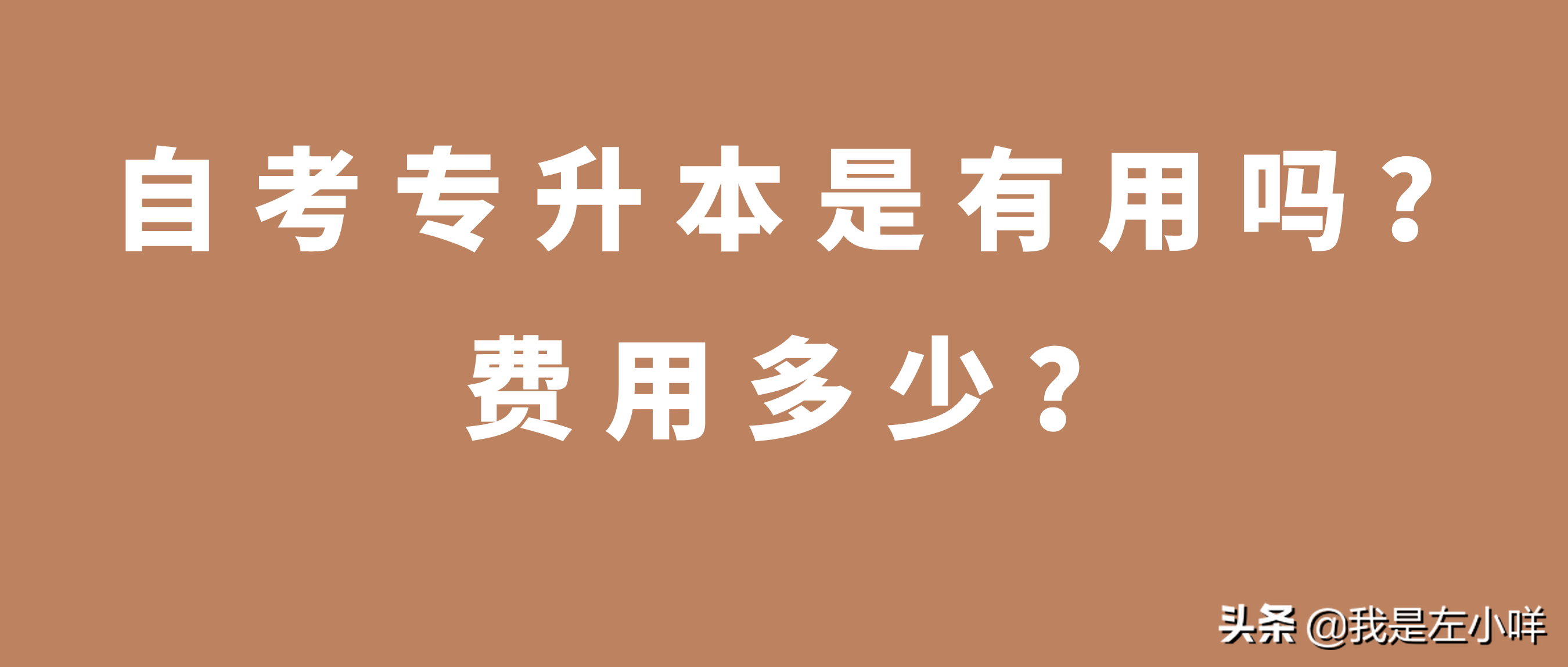 自考专升本是有用吗 费用要多少