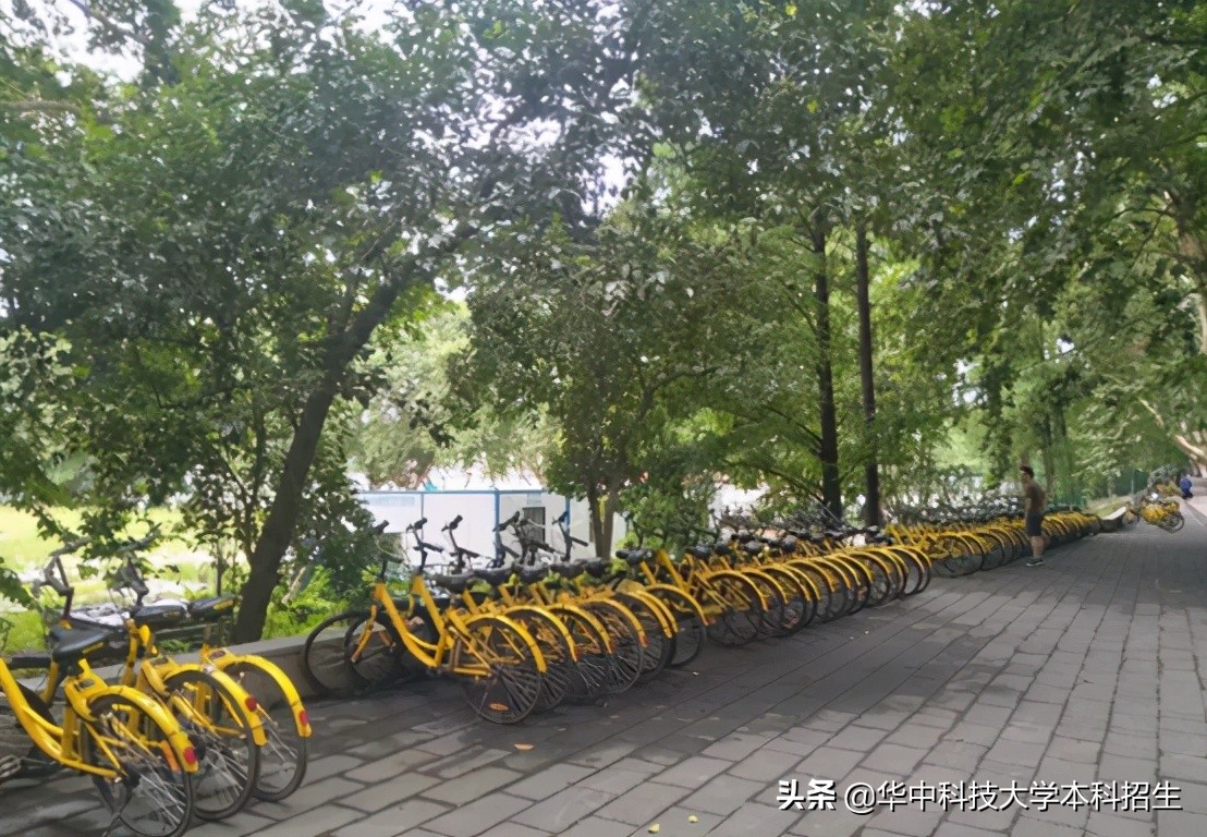 神仙配置！坐拥36个食堂和4个地铁站，湖北“最壕”大学来了！